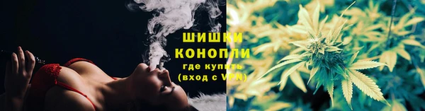 СК Белокуриха