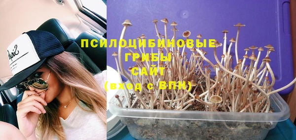 СК Белокуриха