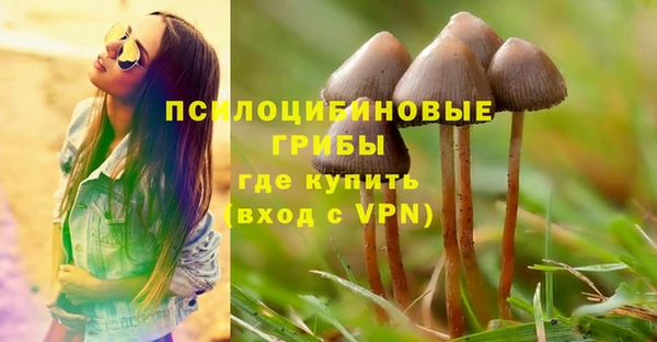 СК Белокуриха